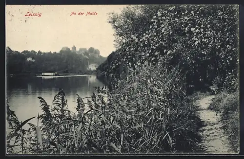 AK Leisnig, An der Mulde