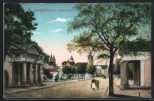AK Naumburg a. S., Salztor, Strassenansicht, Torhäuser, Stadtpanorama