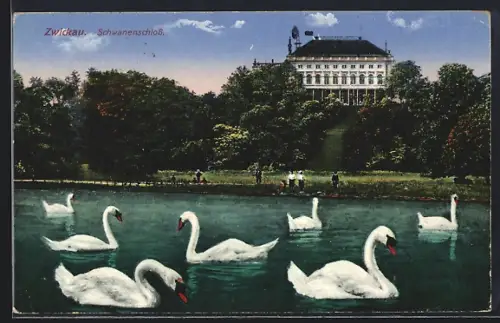 AK Zwickau, Schwanenschloss, Schwäne, Park