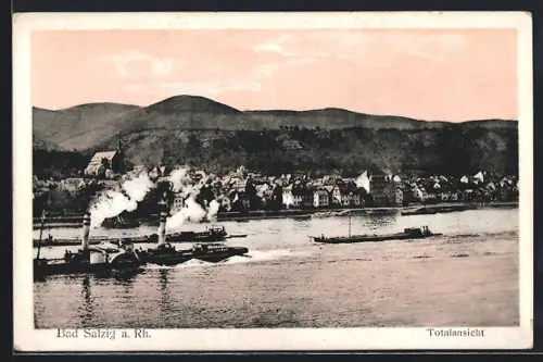 AK Bad Salzig a. Rh., Totalansicht