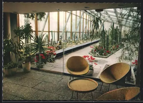 AK Hannover-Herrenhausen, Kakteenhaus im Berggarten