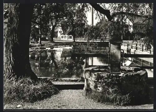 AK München-Solln, Seerosenweiher, Brunnen, Parkanlage