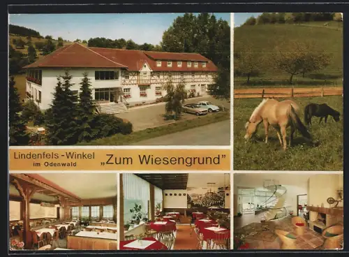 AK Lindenfels-Winkel im Odenwald, Gasthaus Zum Wiesengrund, Bes. Fam. Bitsch