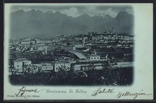 AK Feltre, Panorama