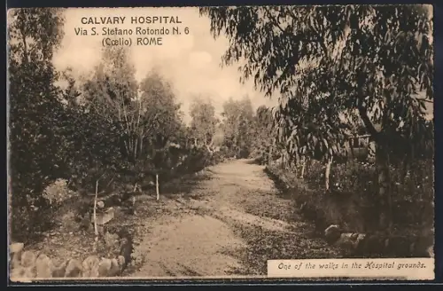 AK Rome, Coelio, Calvary Hospital, Via S. Stefano Rotondo N. 6, One of the walks in the Hospital grounds