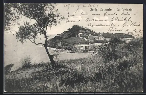 AK Sestri Levante, La Penisola