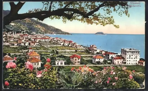 AK Alassio, Panorama