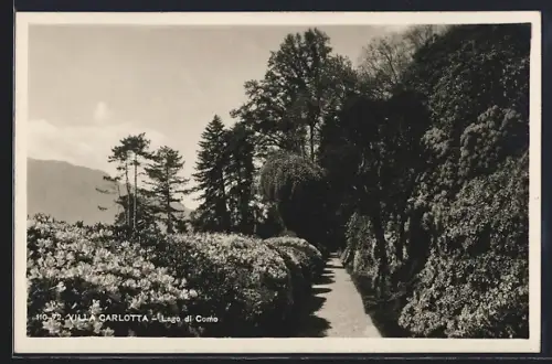 AK Tremezzina /Lago di Como, Villa Carlotta