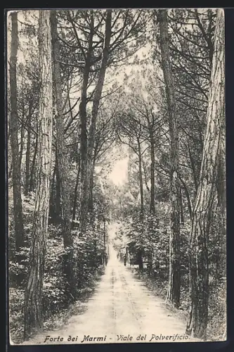 AK Forte dei Marmi, Viale del Polverificio