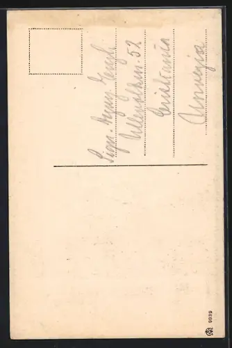 AK Napoli, La Cattedrale