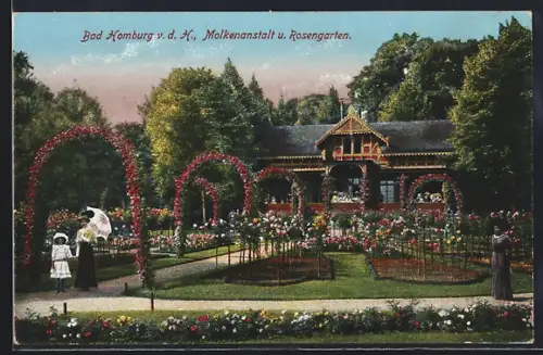 AK Bad Homburg v. d. H., Molkenanstalt und Rosengarten