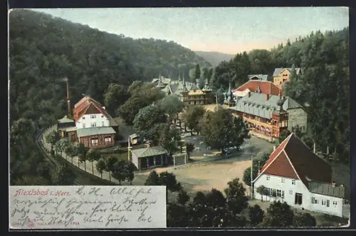 AK Alexisbad im Harz, Ortspartie