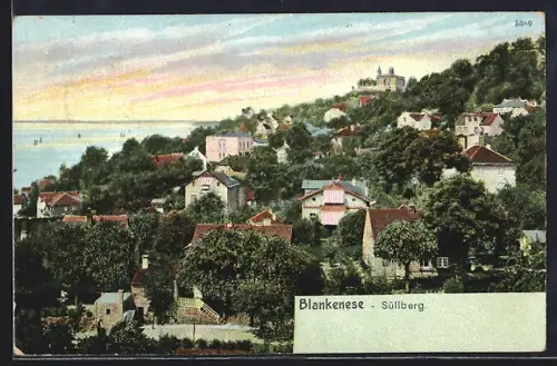 AK Hamburg-Blankenese, Häuser auf dem Süllberg