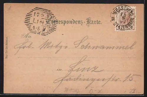 Lithographie Mariazell, Wegscheid mit Graualpe und Spielmäuer