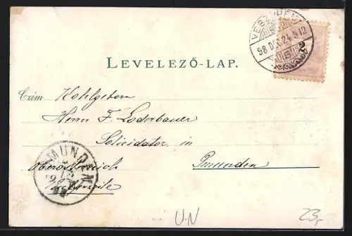 Lithographie Veszprem, Város, Irgalmas nenek intezete, Varmegyehaz