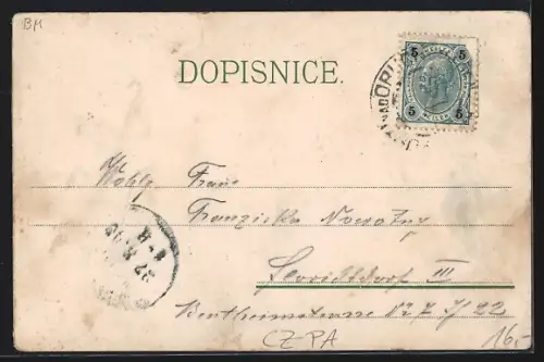 Lithographie Usti n. Orlici, Panorama