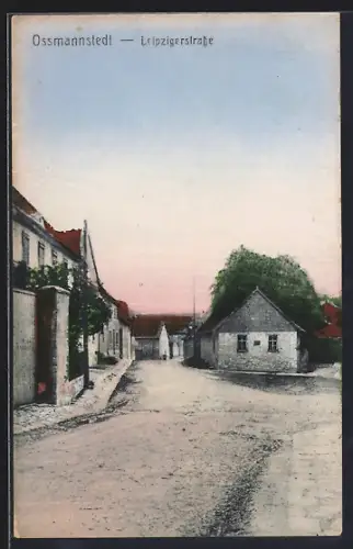 AK Ossmannstedt, Partie in der Leipzigerstrasse