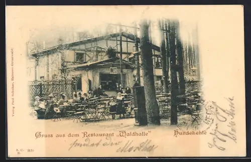 AK Grunewald, Restaurant Waldhalle, Hundekehle