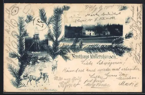 AK Müllershausen, Forsthaus, Jägerstand Haitsch, Rehe