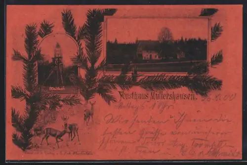 AK Müllershausen, Forsthaus mit Rehen