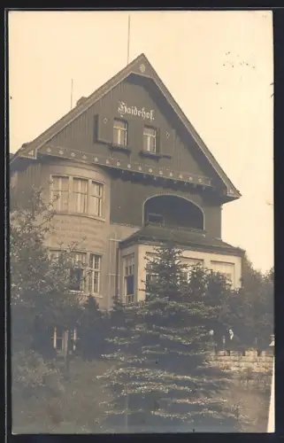 Foto-AK Königstein /Elbe, Hotel Villa Haidehof mit Grünanlage