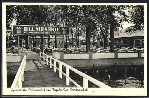 AK Berlin-Saatwinkel, Gaststätte Blumeshof am Tegler-See