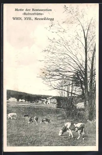 AK Wien, Neuwaldegg, Restaurant Rohrerhütte, Weidende Kühen