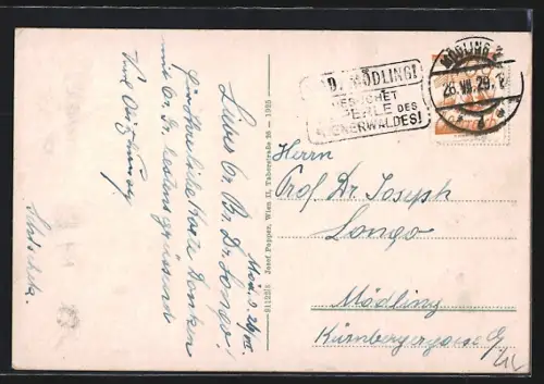 AK Mödling /N.-Oe., Gesamtansicht mit Viaduct