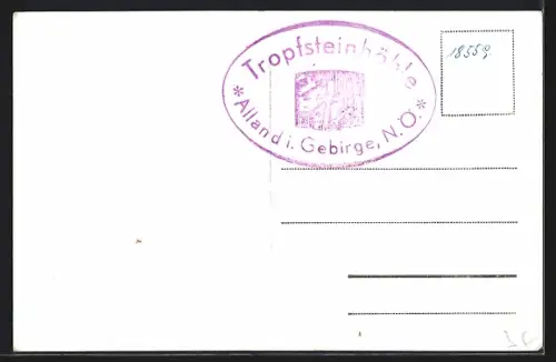 AK Alland im Gebirge, Panorama