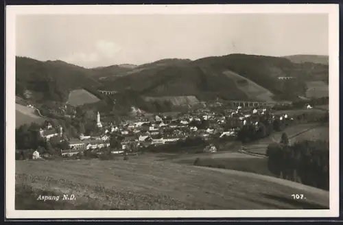 AK Aspang /N. D., Teilansicht mit Bäumen