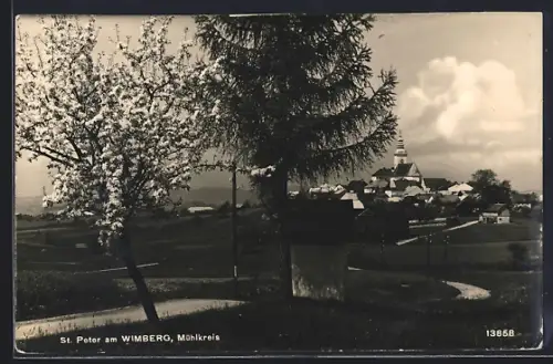 AK St. Peter am Wimberg, Ortsansicht im Frühling von der Landstrasse aus