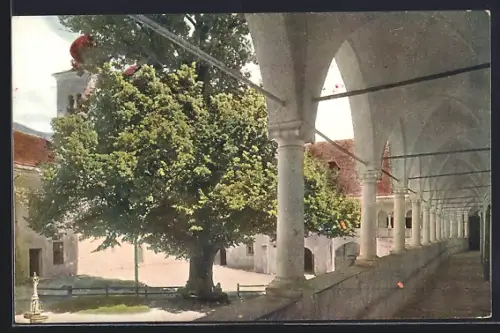 AK Millstatt, Klostergang mit Hof