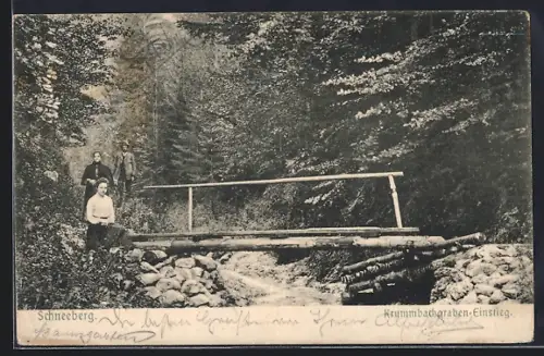AK Puchberg am Schneeberg, Krummbachgraben-Einstieg mit Wanderern