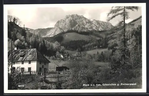 AK Prein a. d. Rax, Griesleiten g. Preinerwand, Anwesen