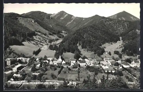 AK Hohenberg /N.-Oe., Gesamtansicht mit Gipfelpanorama aus der Vogelschau
