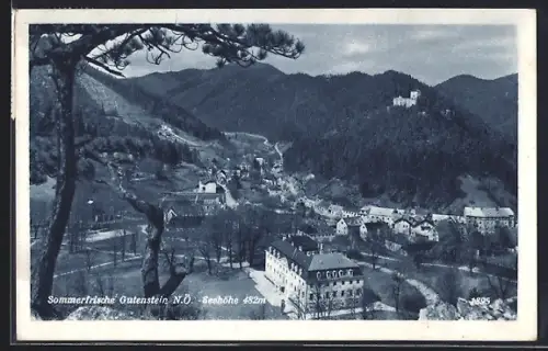 AK Gutenstein /N. Ö., Gesamtansicht mit Bergpanorama aus der Vogelschau