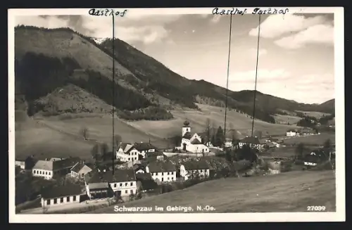 AK Schwarzau im Gebirge, Ortsansicht mit Gasthöfen aus der Vogelschau