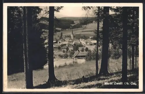 AK Zwettl /Ob. Öst., Ortsansicht vom Waldrand