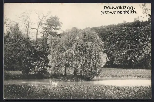 AK Neuwaldegg, Am Schwanenteich