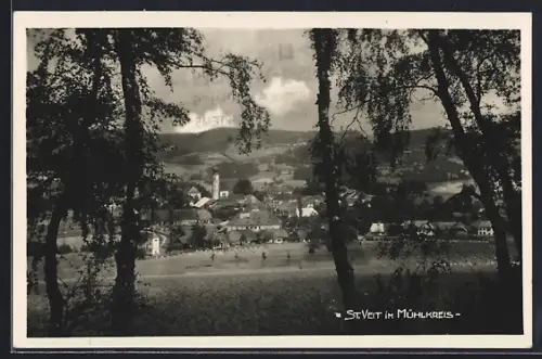 AK St. Veit im Mühlkreis, Blick auf den Ort