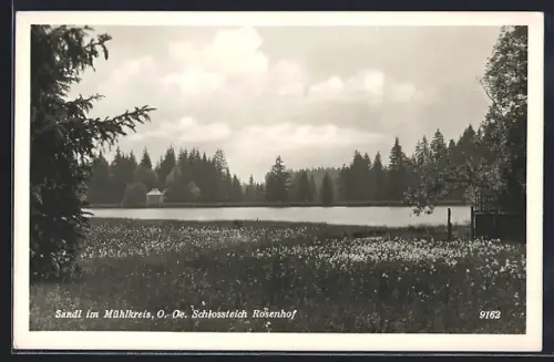 AK Sandl im Mühlkreis, Schlossteich Rosenhof