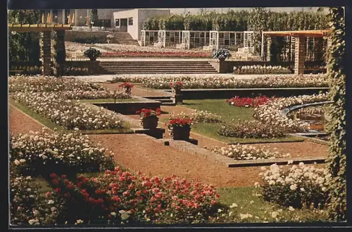 AK Essen, grosse Gartenbau-Ausstellung 1929, Pergolagarten mit Rosenanlage und Rosencafé