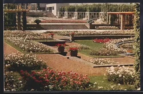 AK Essen, grosse Gartenbau-Ausstellung 1929, Pergolagarten mit Rosenanlage und Rosencafé