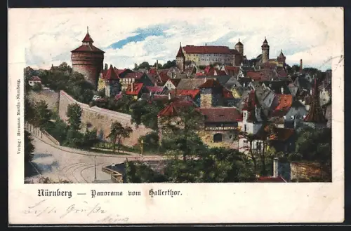 AK Nürnberg, Panorama vom Hallerthor