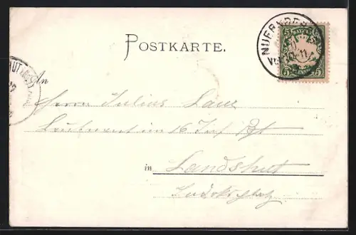 AK Nürnberg, Panorama vom Hallerthor