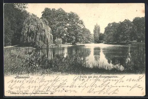 AK Hannover, Partie aus dem Georgengarten