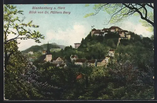AK Blankenburg a. Harz, Blick von Dr. Müllers Berg