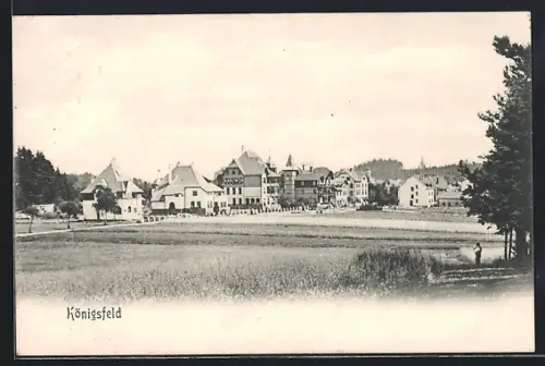 AK Königsfeld / Baden, Ortsansicht vom Feld aus