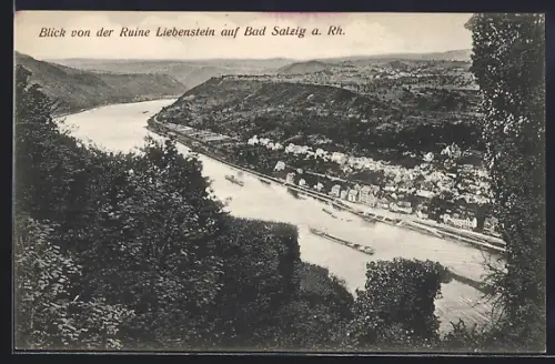 AK Bad Salzig a. Rh., Blick von der Ruine Liebenstein auf Ort und Rhein