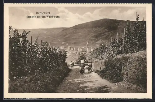 AK Berncastel, Szenerie aus den Weinbergen